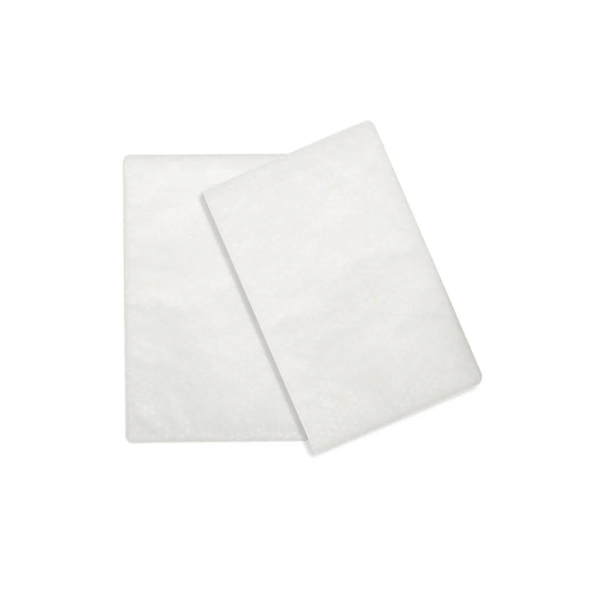 Filtres standard des séries Resmed AirSense 10 et S9
